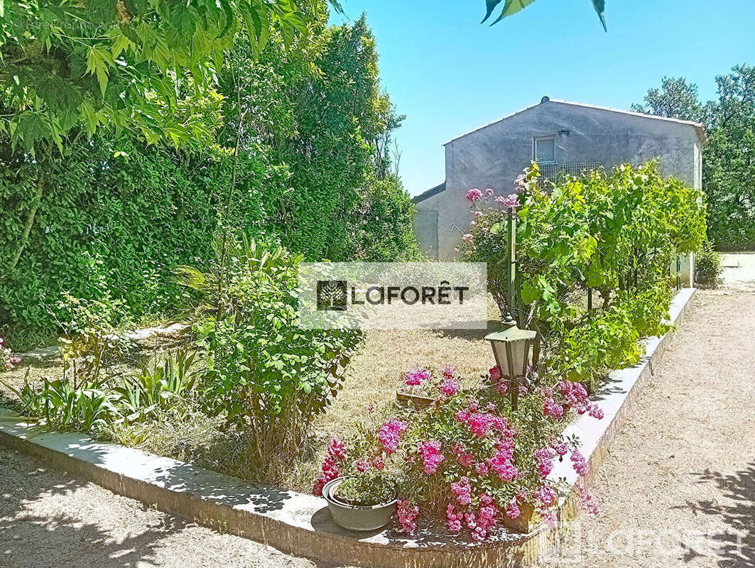 Maison + T2 Sainte Cécile Les Vignes 8 pièce(s)  170 m2 - photo 6