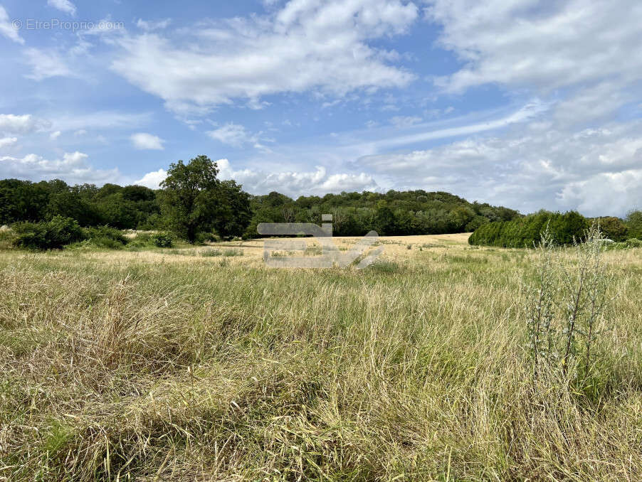 Terrain à CHAMOUILLE