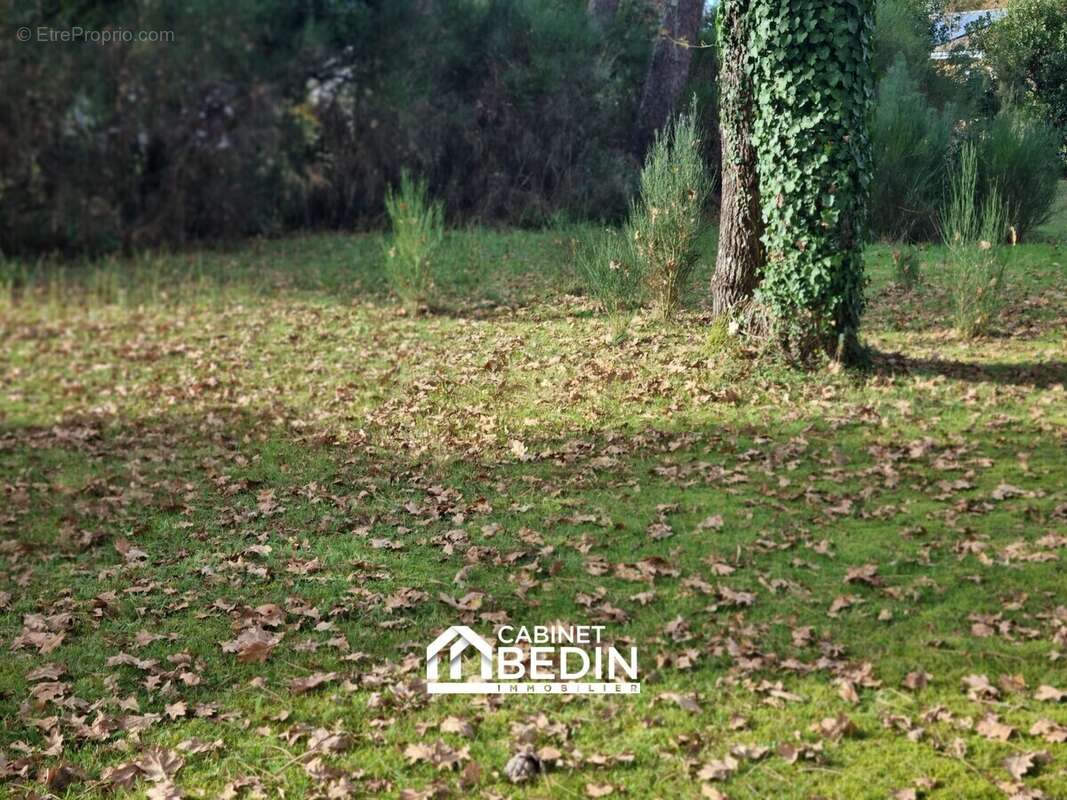 Terrain 684 m² à Biganos  - photo 5