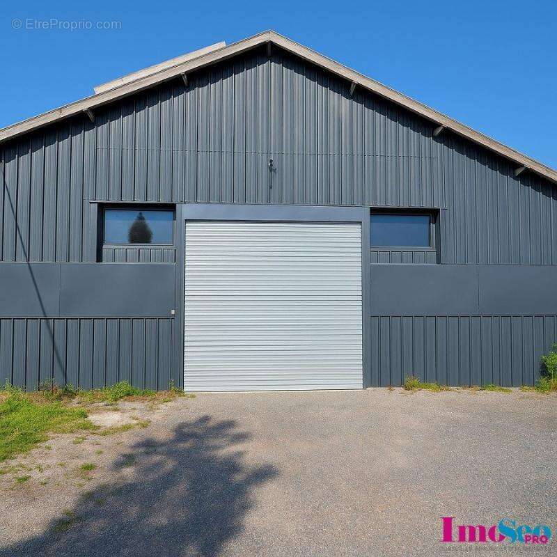 Commerce à SAINT-JEAN-D'ILLAC