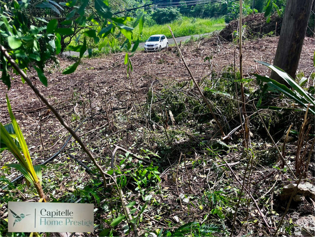 Terrain à SAINTE-ANNE