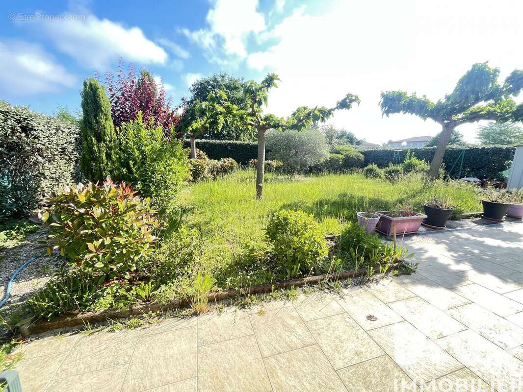 Photo 4 - Maison à MONTAUBAN