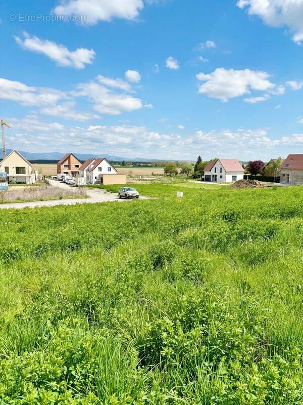 Terrain à DIETWILLER