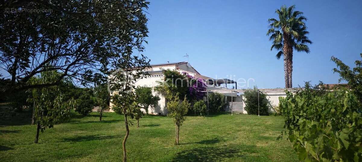 RARE !!!Aux portes de Montpellier et du bassin de Thau, propriété avec maison de 233m2 au coeur de 5000m2 constructible - photo 6