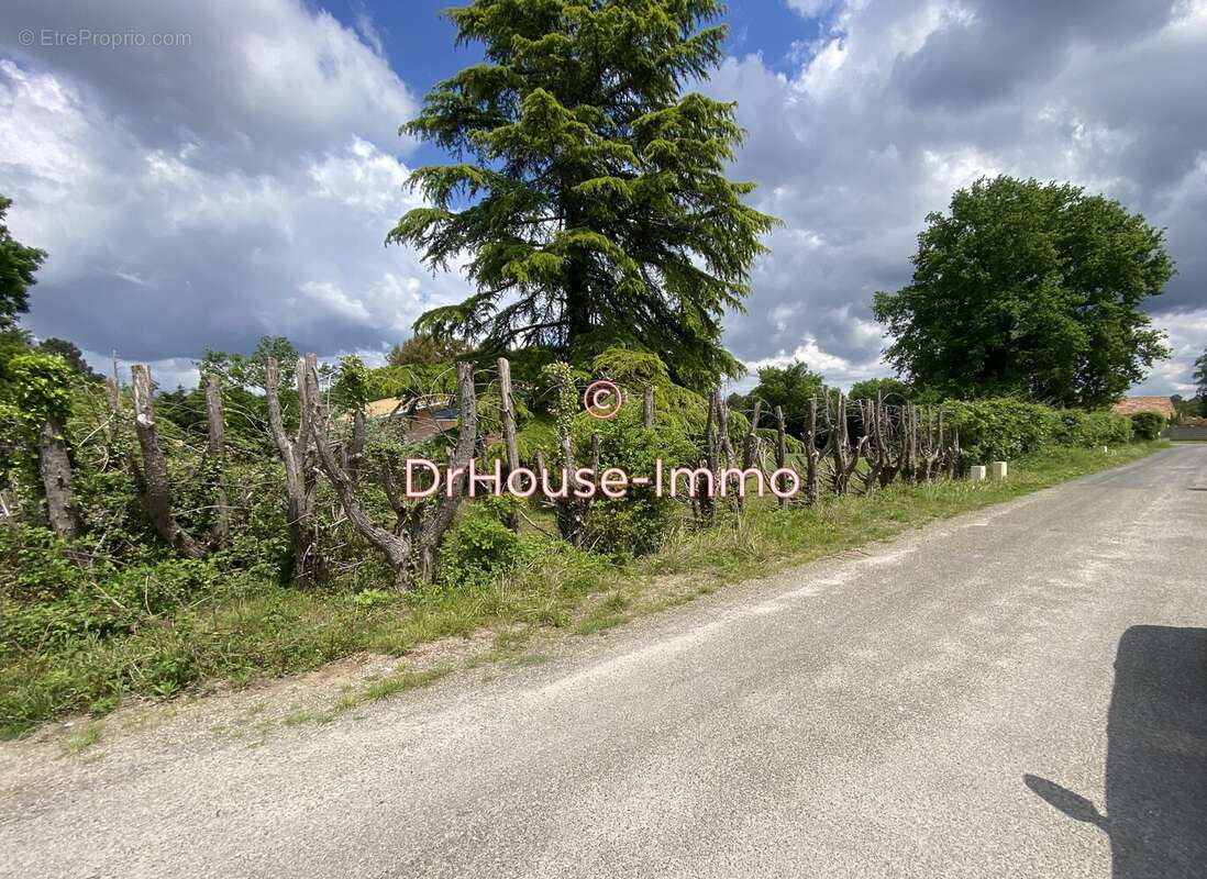 Terrain à PARENTIS-EN-BORN