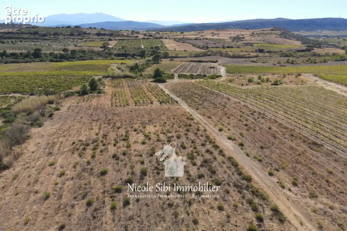 Terrain 36 342 m² à vendre à Tautavel (66720) - photo 6
