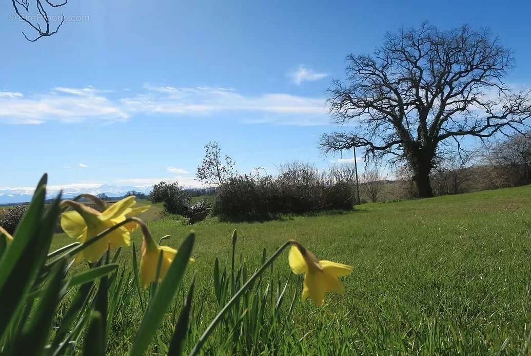 Maison à SAINTE-DODE