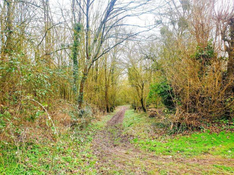 Maison à CRECY-COUVE