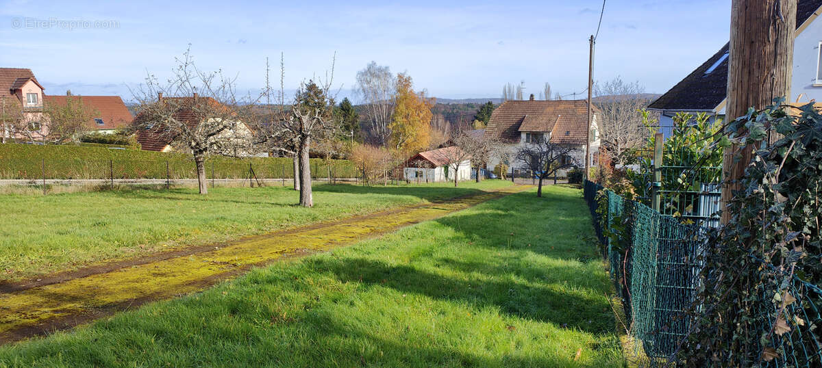 Mollkirch, sur les hauteurs, rare terrain constructible de 7.99 ares. - photo 4