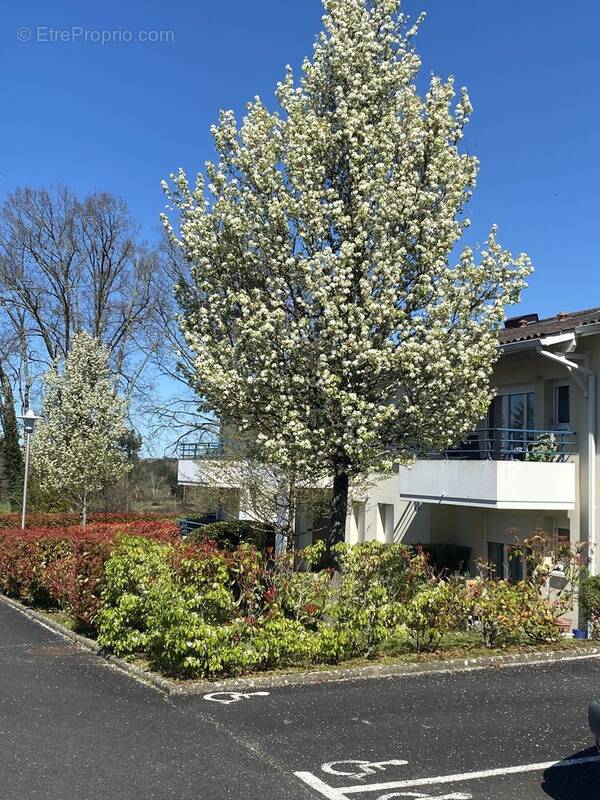 Appartement à MONTENDRE