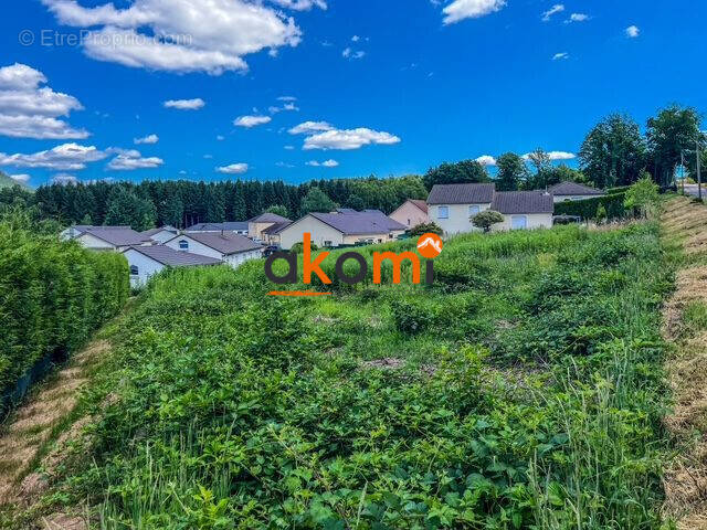 Terrain à MOYENMOUTIER