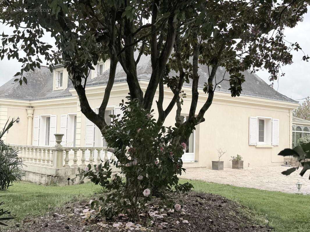 Maison à MAUVES-SUR-LOIRE