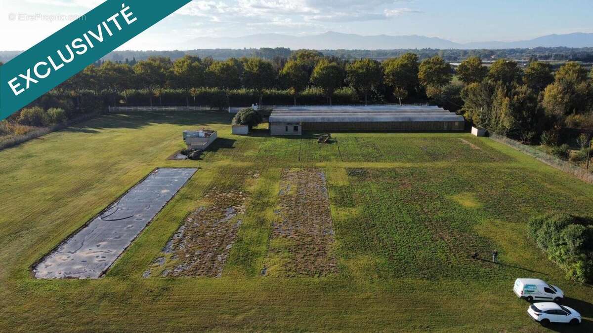 Photo 7 - Commerce à VILLELONGUE-DE-LA-SALANQUE