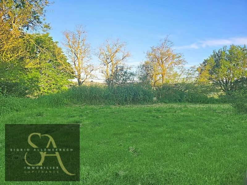 À vendre – Terrain de 560 m² à Montclar (11) - photo 3