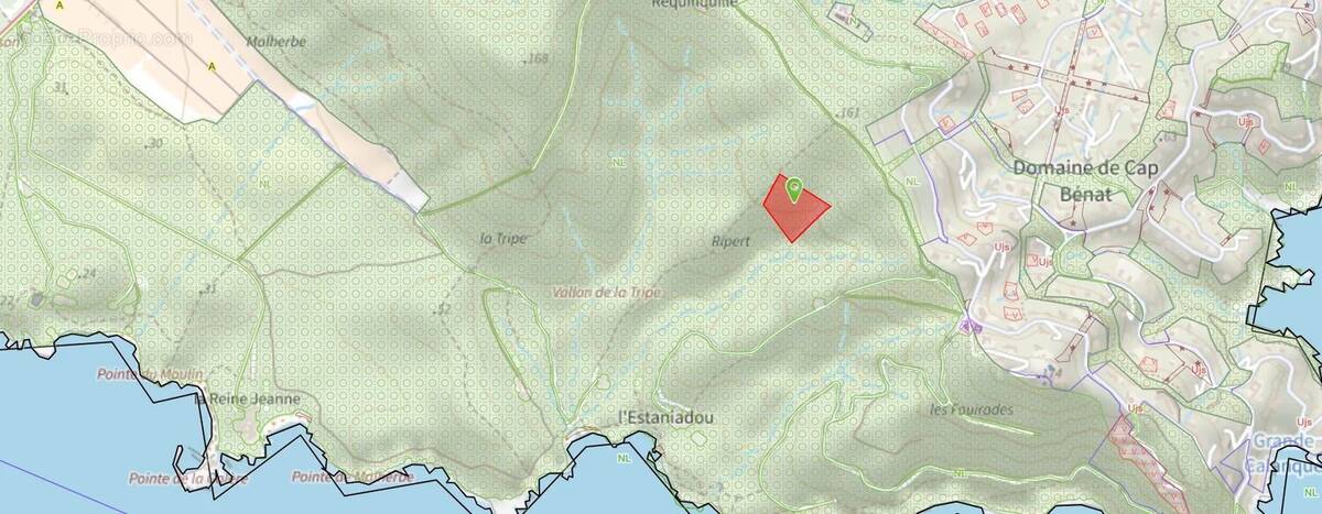 Terrain à BORMES-LES-MIMOSAS