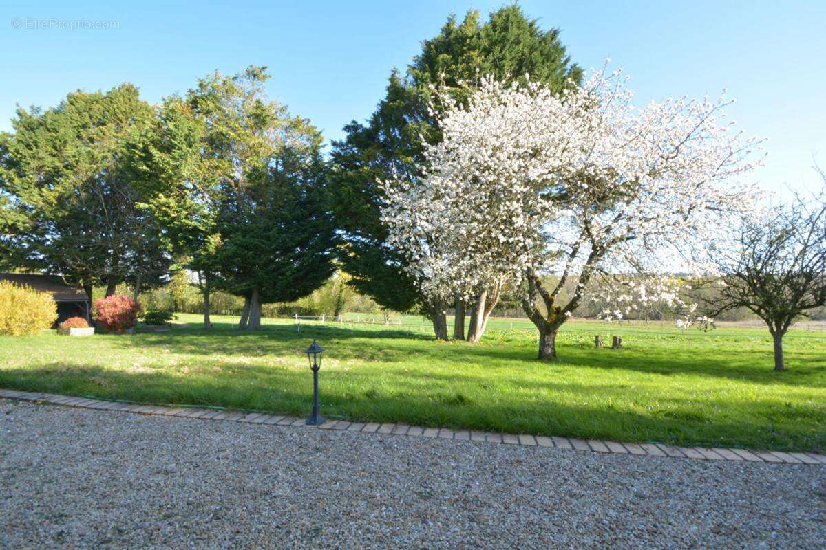 Maison Ivoy Le Pre 5 pièce(s) 159.41 m2 - photo 15
