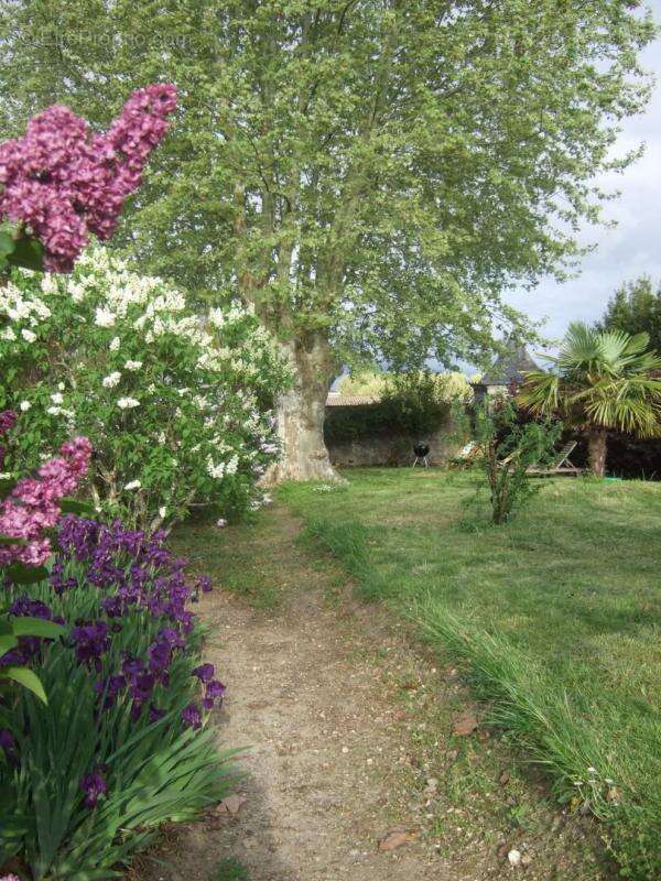Maison de charme en pierres à Pauillac 8 pièce(s) 220m2 - photo 9