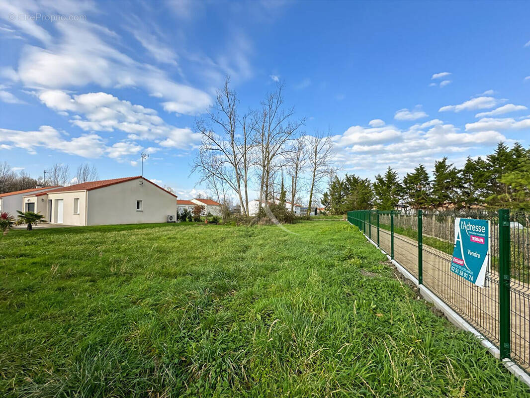 Terrain à LE PERRIER