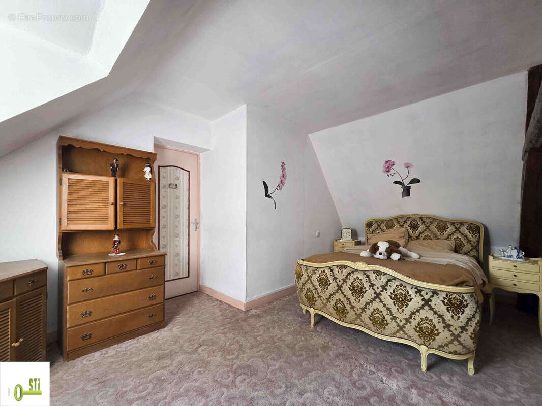 Photo 8 - Maison à CHATILLON-COLIGNY