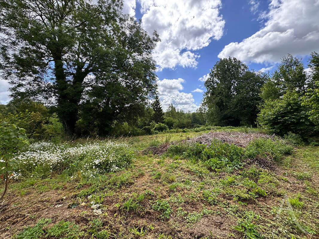 Chaussoy-epagny - terrain viabilisé de 2 782 m² - photo 2