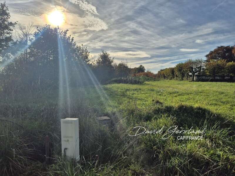 Terrain à bâtir viabilisé 553,00 m² - Libre Constructeur - photo 10
