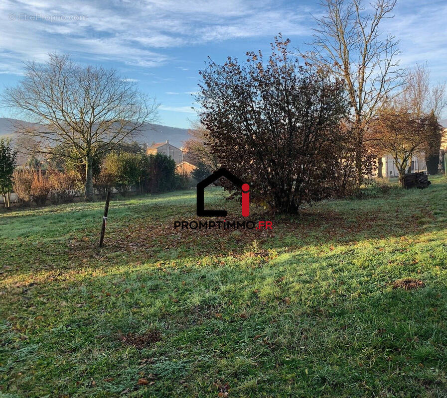 Terrain à PONTCHARRA-SUR-TURDINE