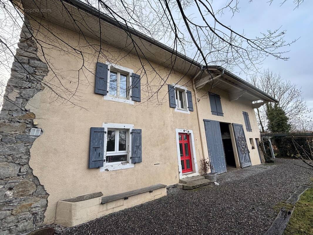 Maison à MASSONGY