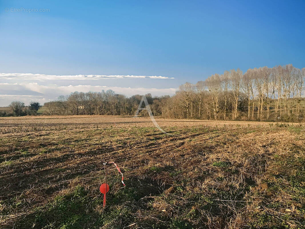 Terrain à CHAMPAGNE