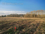 Terrain à CHAMPAGNE