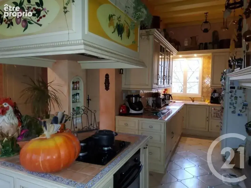Maison 10 pièces 500 m² à vendre à Chouilly (51530) - photo 6