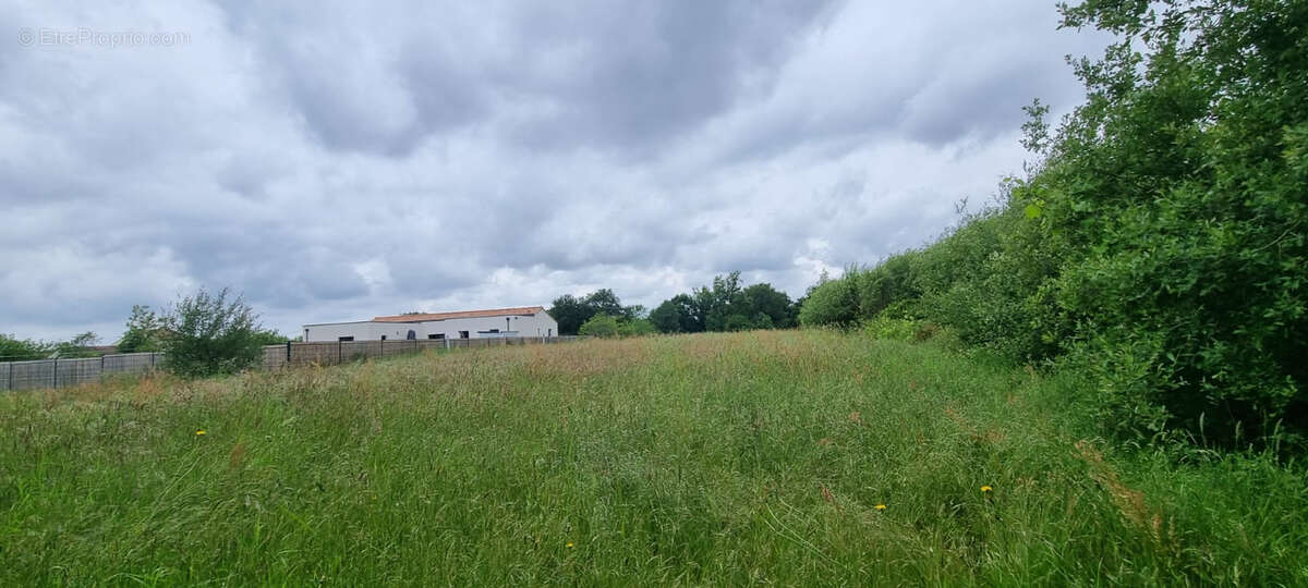 Terrain à LA ROCHE-SUR-YON