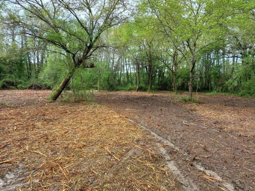 Photo 3 - Terrain à LEOGNAN