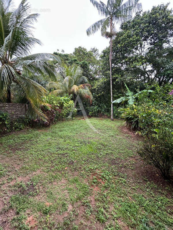 Appartement à REMIRE-MONTJOLY