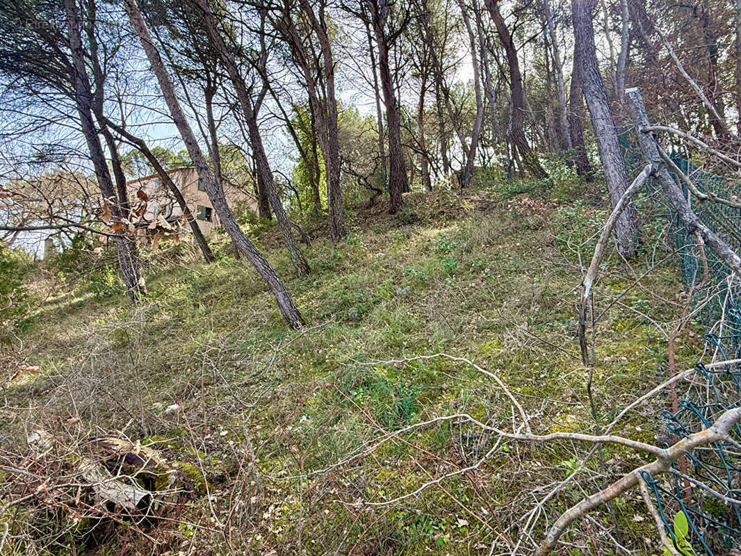 Terrain à LA ROQUE-D'ANTHERON