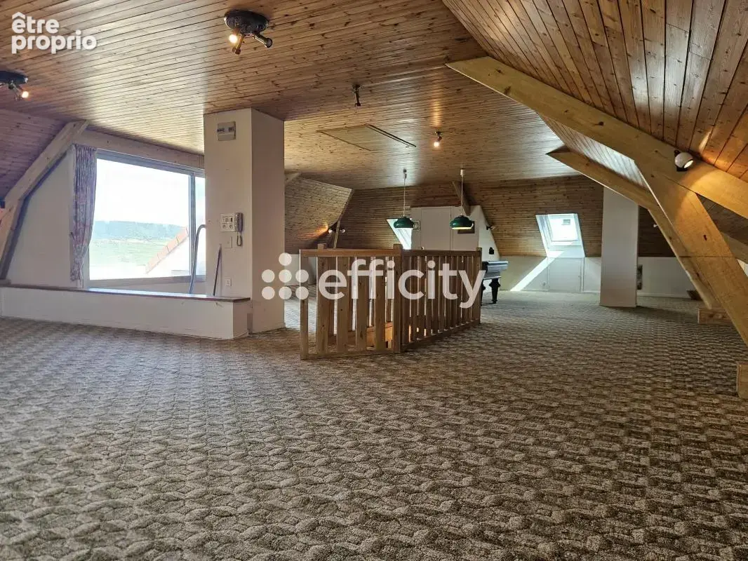 Maison 8 pièces 295 m² à vendre à Oeuilly (51480) - photo 13