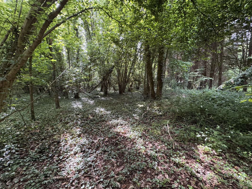 Terrain à BEUZEVILLE