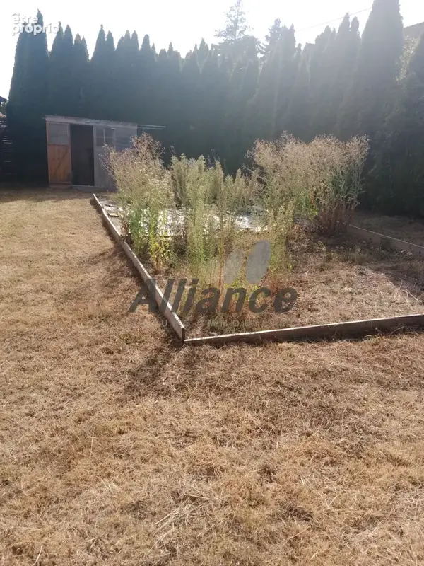 maison de plain pied / pavillon - photo 14
