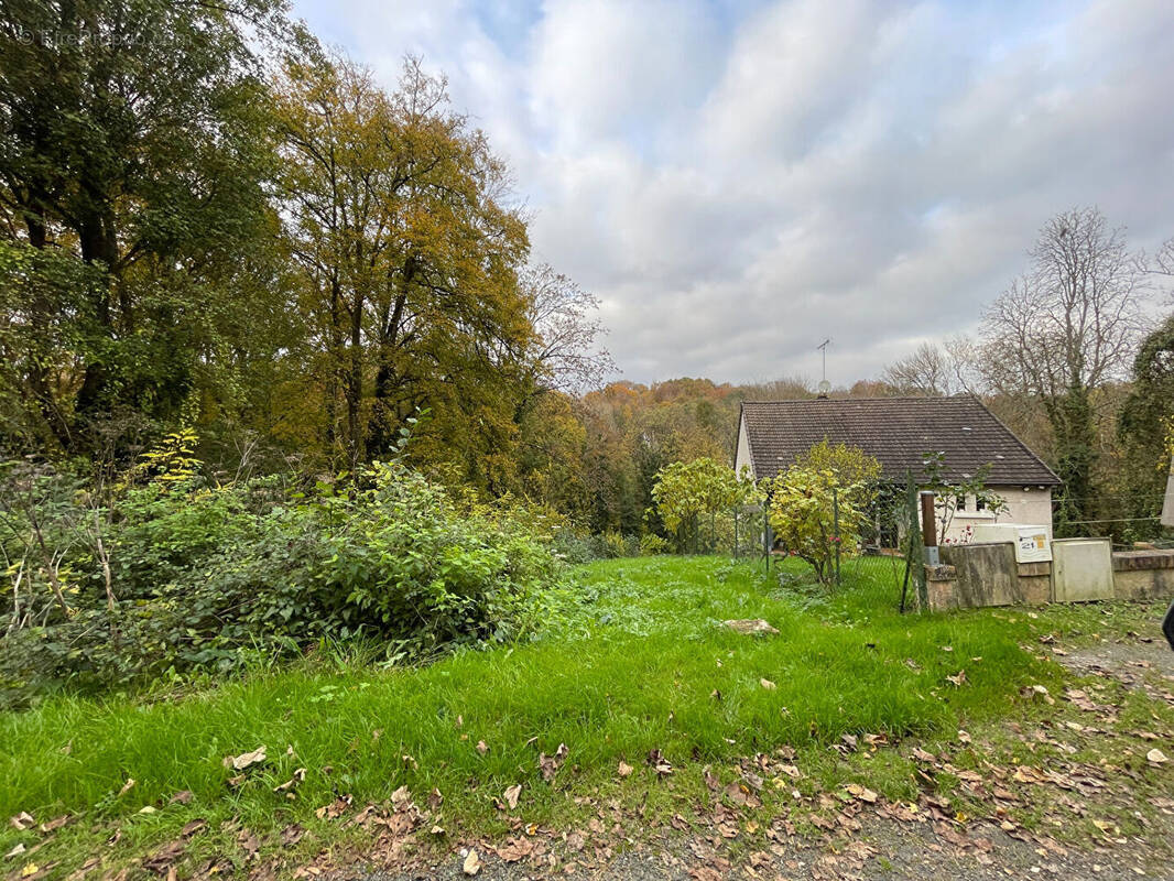 Terrain à FONTAINE-LE-PORT
