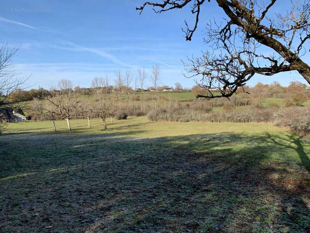 Terrain 8420 m² à Jugeals-Nazareth  - photo 146