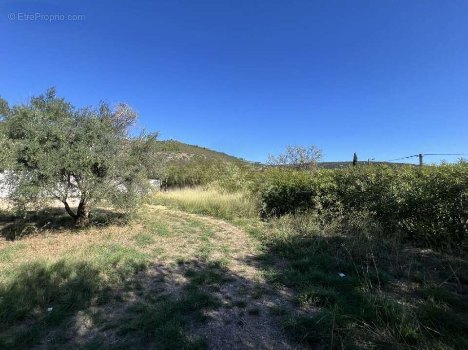 Terrain à SAINT-JEAN-DE-FOS