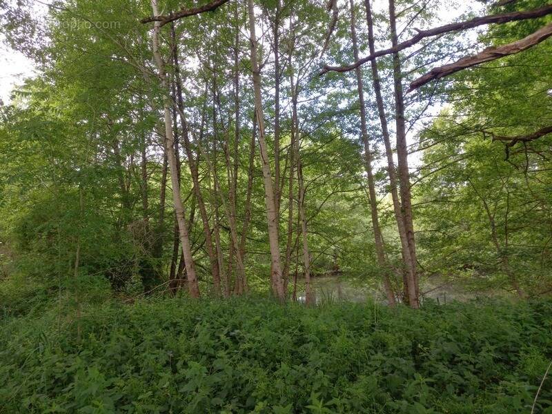 Terrain à COURTEMAUX