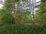 Terrain à COURTEMAUX