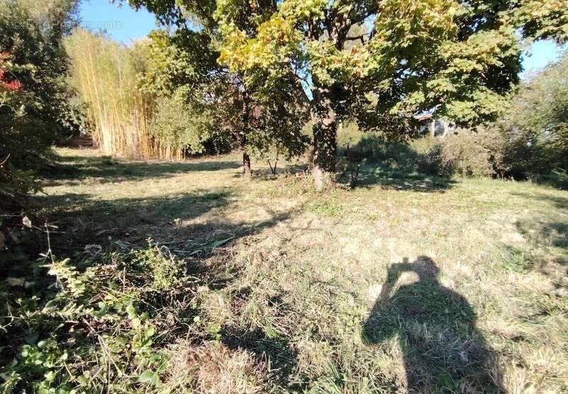 Lot en copropriété, à usage de jardin, constructible de 490 m² SAINT PERAY (07) - photo 3