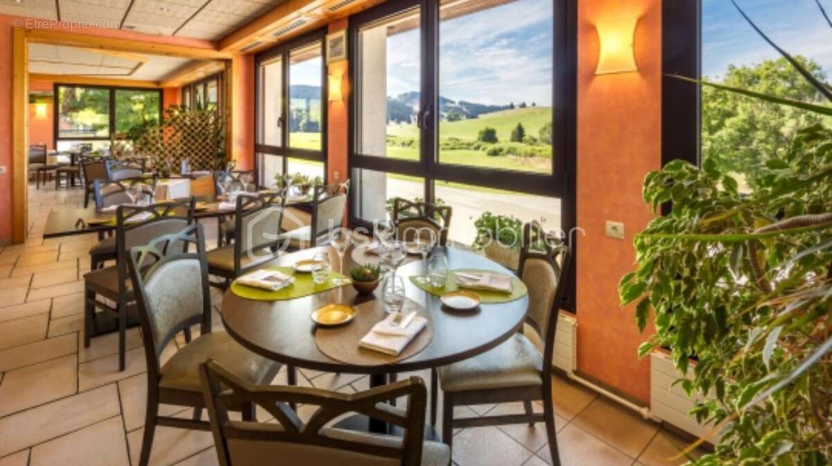 Commerce à SEPTMONCEL