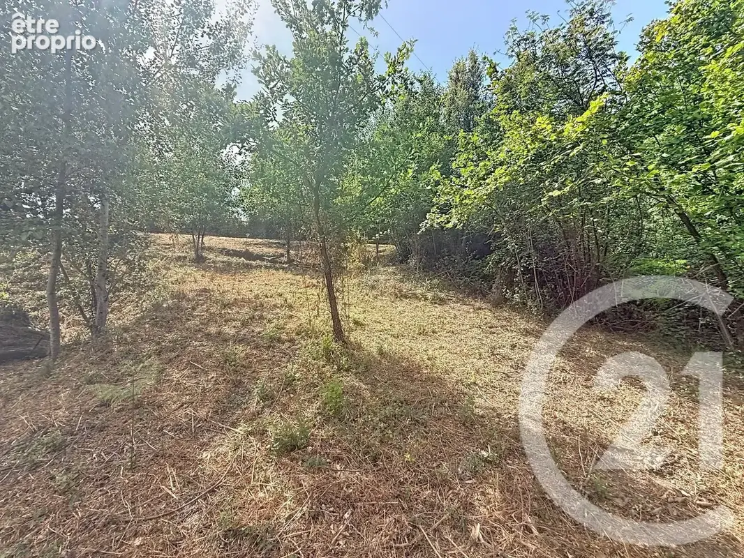 Terrain 2 000 m² à vendre à San-Nicolao (20230) - photo 9