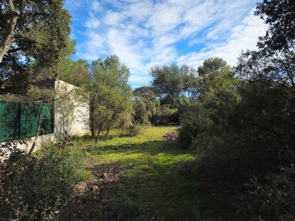 Terrain 666 m² à Le Cannet-Des-Maures  - photo 2