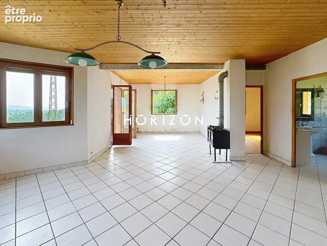Maison 8 pièces 250 m² à vendre à Freterive (73250) - photo 4