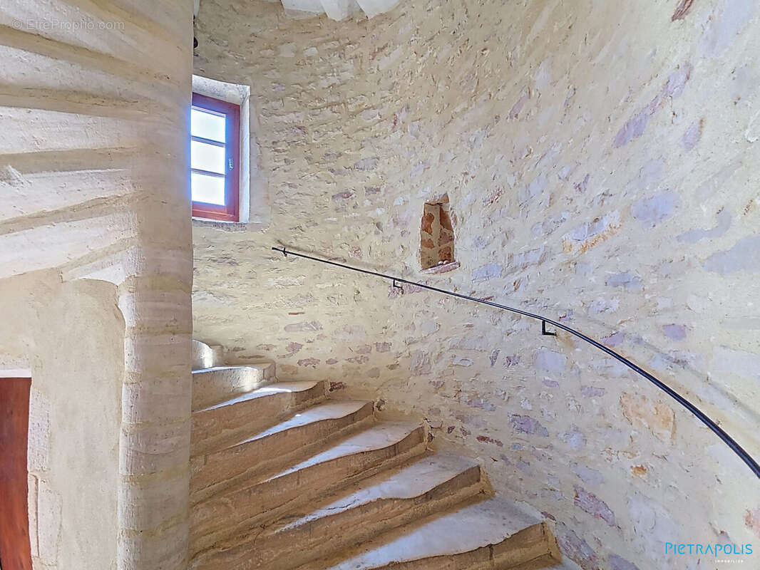 Maison 304 m² à Cuisery  - photo 8