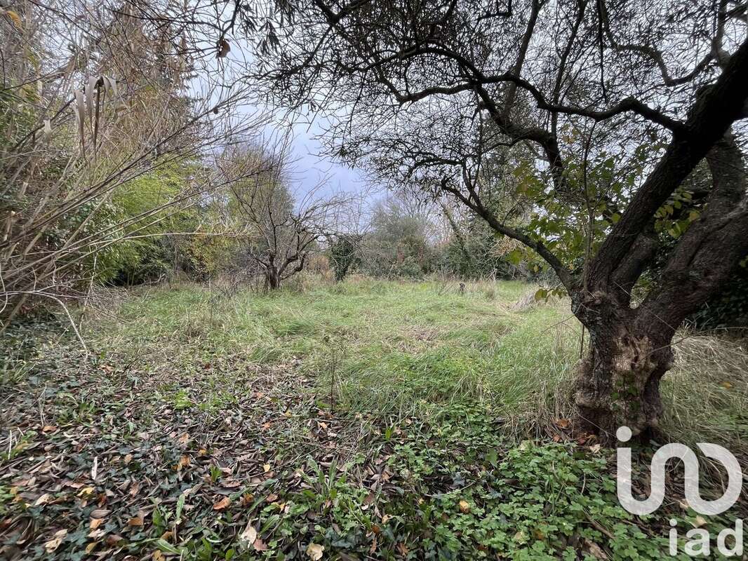 Photo 3 - Terrain à SABRAN