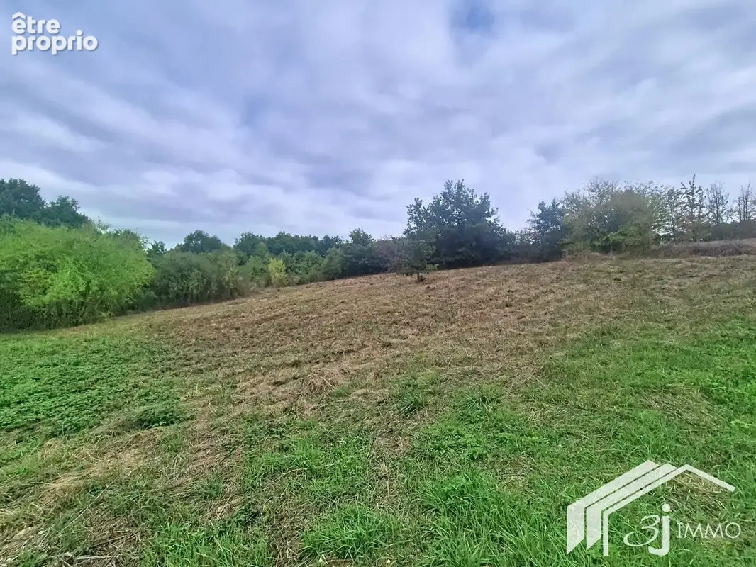 Terrain COX - photo 2